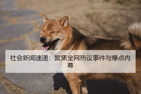 社会新闻速递：聚焦全网热议事件与爆点内幕